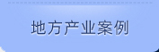 地方工业案例